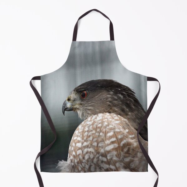 Item preview, Coopers Hawk designed and sold by Susie Kramer.