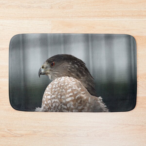 Item preview, Coopers Hawk designed and sold by Susie Kramer.