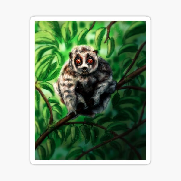 Moth Sticker – Slow Loris