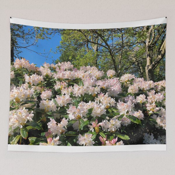 Item preview, Rhododendrons under a blue sky designed and sold by Violaman.