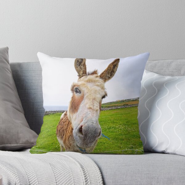 Item preview, Dingle Donkey designed and sold by Philip Cozzolino.