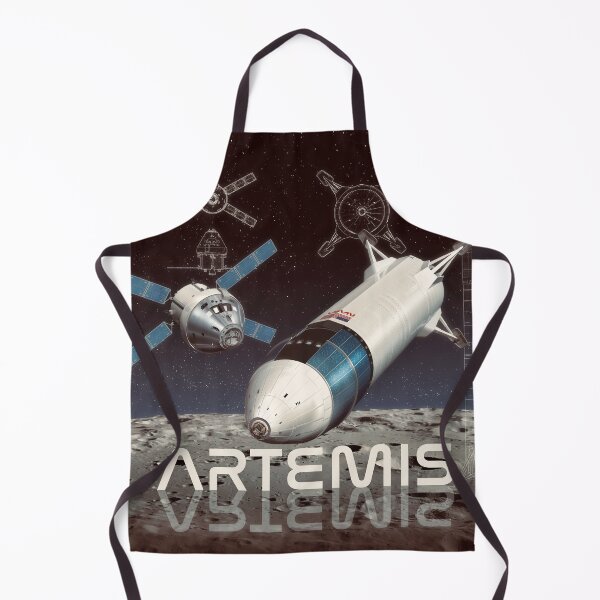Item preview, Orion and Starship HLS designed and sold by Tony Bela.