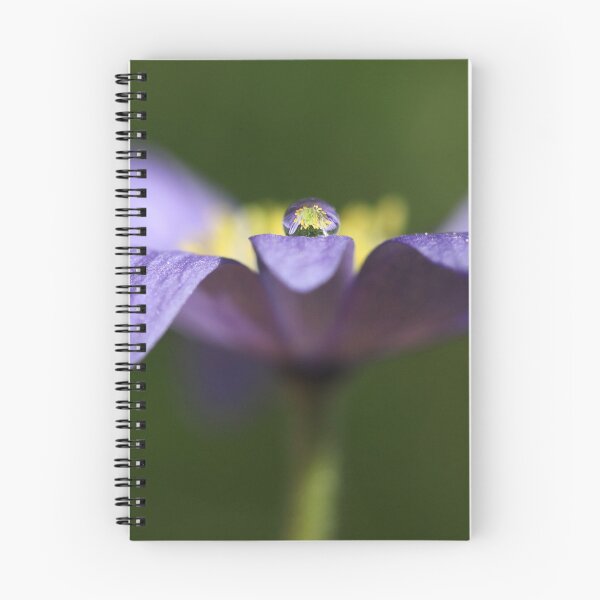 Aperçu de l'œuvre Charme de fleur des vents créée et vendue par Melinda Gaal.