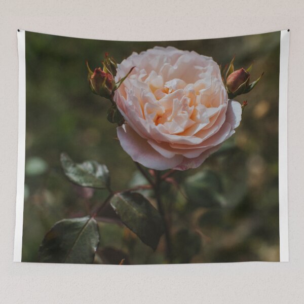 Item preview, One Peach Rose designed and sold by hellotwiggs.