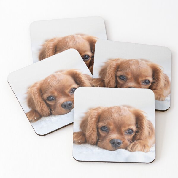 Item preview, Cute Cavalier Puppy designed and sold by cgroenewald.