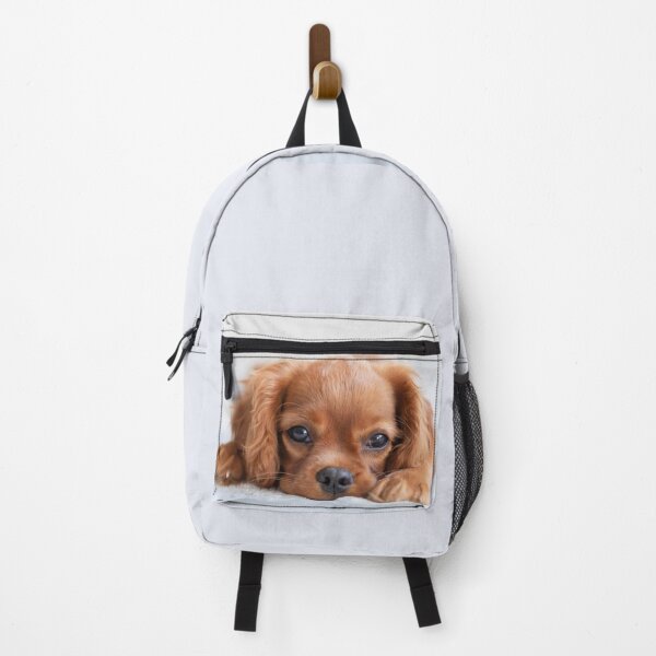 Item preview, Cute Cavalier Puppy designed and sold by cgroenewald.