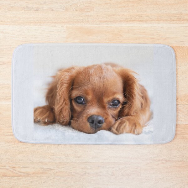 Item preview, Cute Cavalier Puppy designed and sold by cgroenewald.