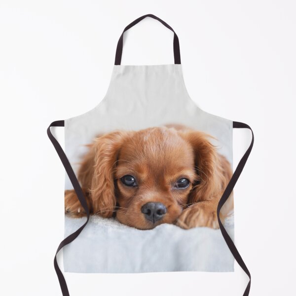 Item preview, Cute Cavalier Puppy designed and sold by cgroenewald.