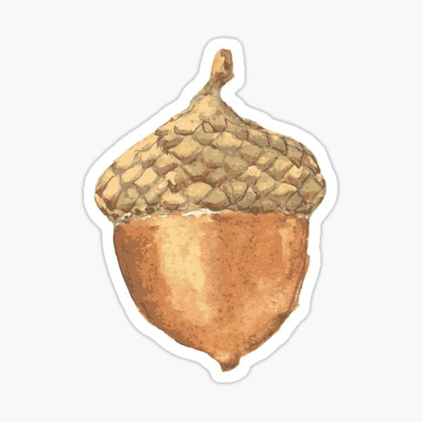 Acorn Watercolor Like Brown Sticker
