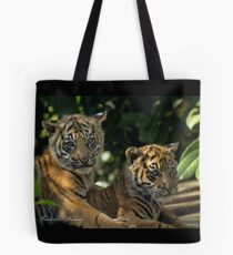 Tiger Cubs Tote Bag