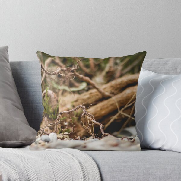 Item preview, Dead nature Photo designed and sold by DanoolPics.