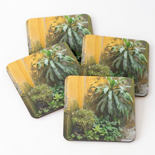 Item preview, Plants Against Yellow Wall designed and sold by jojobob.