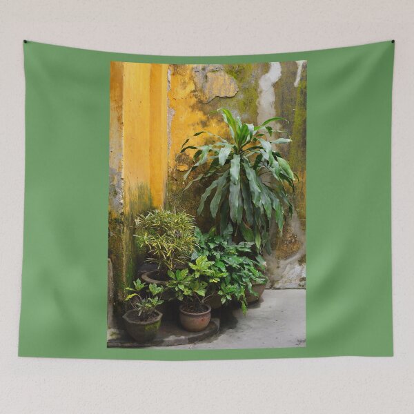 Item preview, Plants Against Yellow Wall designed and sold by jojobob.