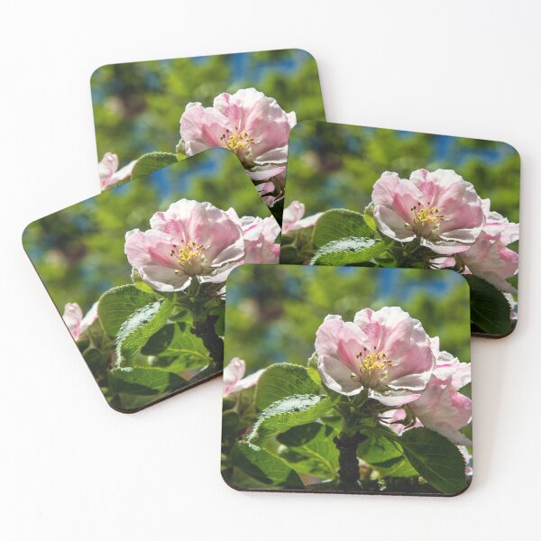 Item preview, Apple blossom designed and sold by jasminewang.