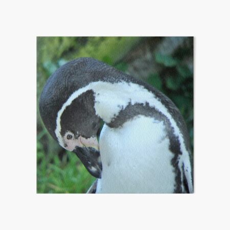 Item preview, VIENNESE PENGUIN designed and sold by RachelMacht.