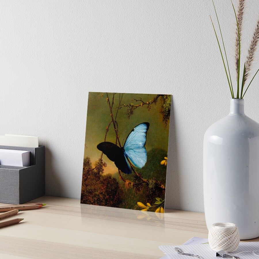 blue morpho butterfly martin johnson heade