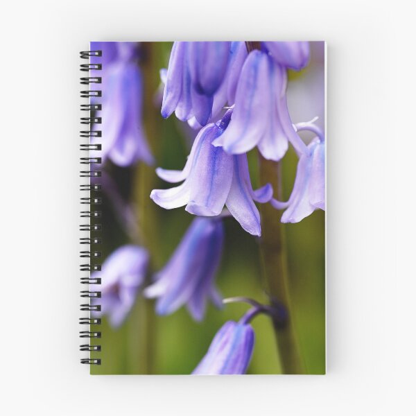 Item preview, Blue purple bluebells designed and sold by ODENWALD-Natur.