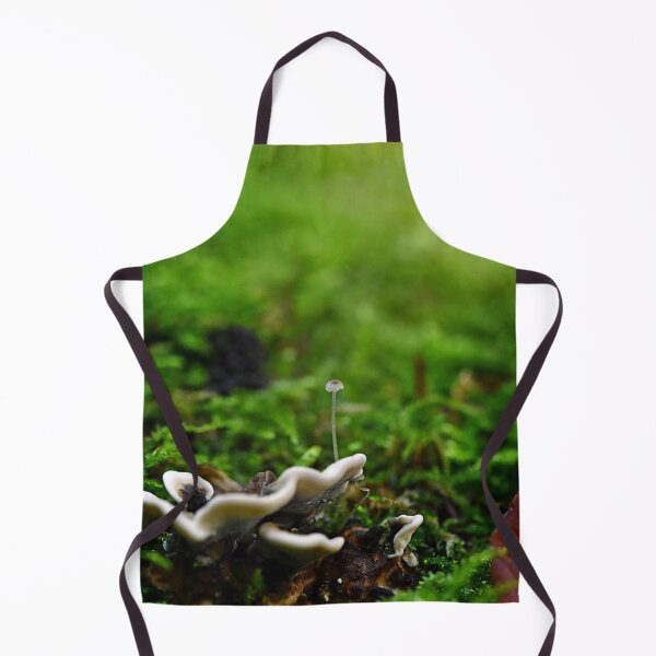 Item preview, Little mushroom comes to life designed and sold by ODENWALD-Natur.