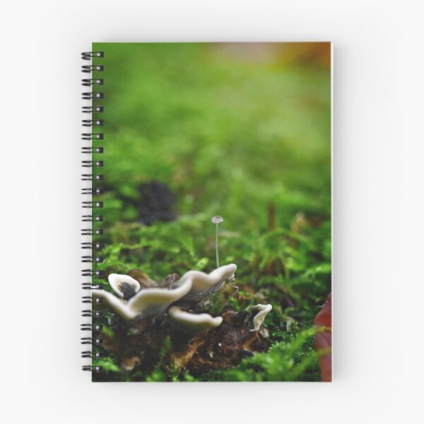 Item preview, Little mushroom comes to life designed and sold by ODENWALD-Natur.