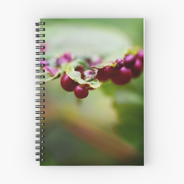 Item preview, Red poisonous berries designed and sold by ODENWALD-Natur.