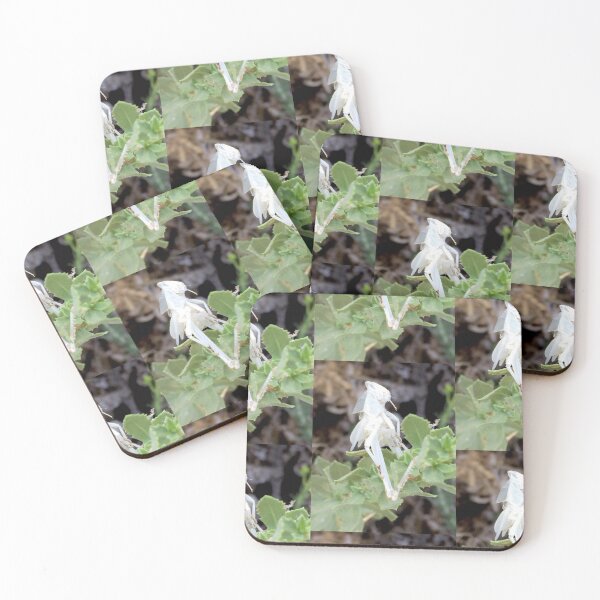 Item preview, Wildnature designed and sold by nydiavillarreal.