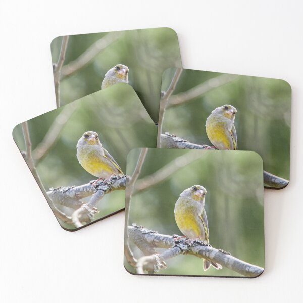 Item preview, Are you talking to me. European greenfinch designed and sold by Jouko Lehto Photography.
