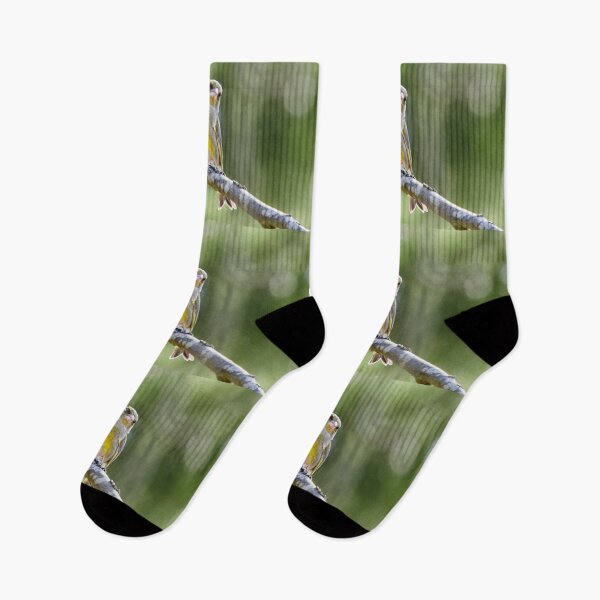 Item preview, Are you talking to me. European greenfinch designed and sold by Jouko Lehto Photography.