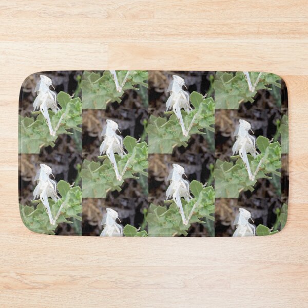Item preview, Wildnature designed and sold by nydiavillarreal.