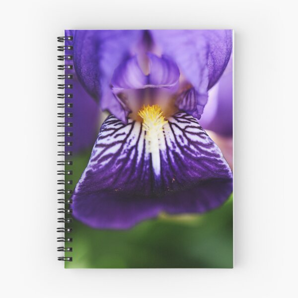 Item preview, Most beautiful iris from the Odenwald designed and sold by ODENWALD-Natur.