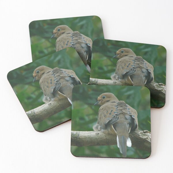 Item preview, Mourning Dove designed and sold by AGODIPhoto.