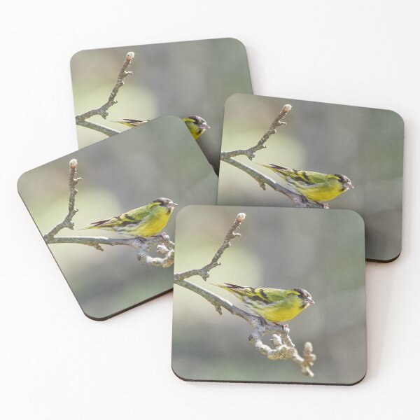 Item preview, Quo vadis. Siskin designed and sold by Jouko Lehto Photography.