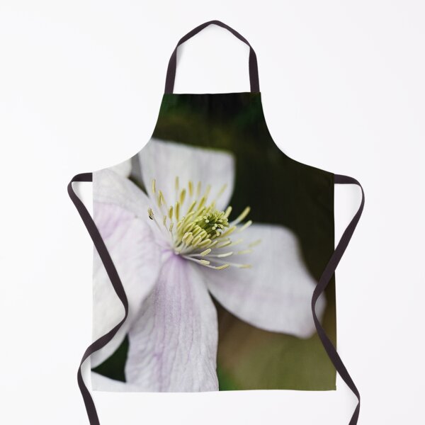 Item preview, Perfect wood anemone designed and sold by ODENWALD-Natur.