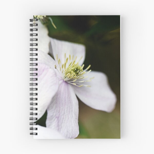 Item preview, Perfect wood anemone designed and sold by ODENWALD-Natur.