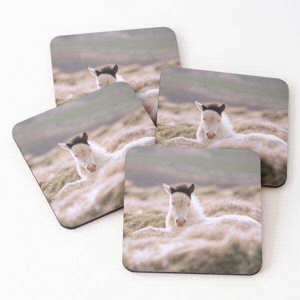 Item preview, Foals of 2021 designed and sold by Iceland-Effect.