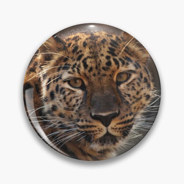 Item preview, Cats Beauty The Amur Leopard designed and sold by Karol Livote.