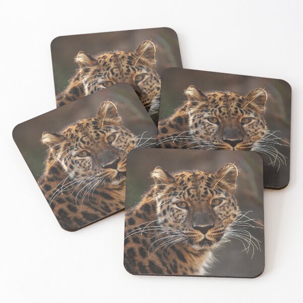 Item preview, Cats Beauty The Amur Leopard designed and sold by Karol Livote.