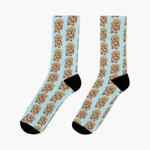 Item preview, Brown Havanese puppy with blue background designed and sold by Adluska.