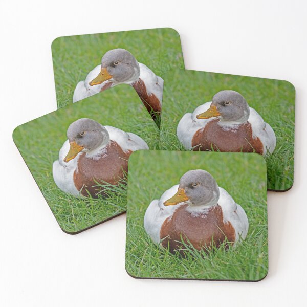 Item preview, Resting Duck designed and sold by GingerMan2550.