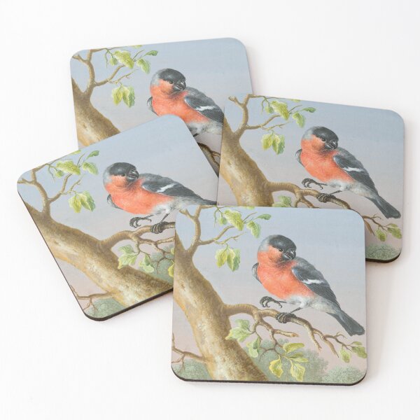 Item preview, Bullfinch designed and sold by Natural History Prints.