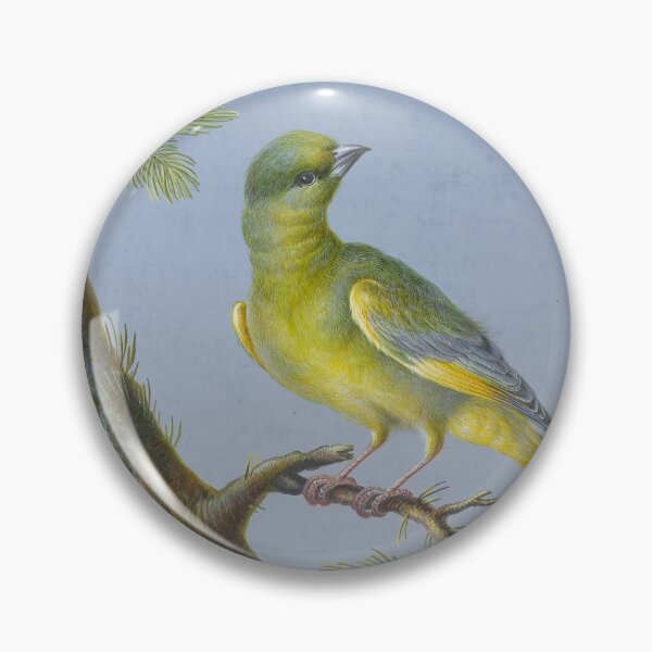 Item preview, Greenfinch designed and sold by Natural History Prints.