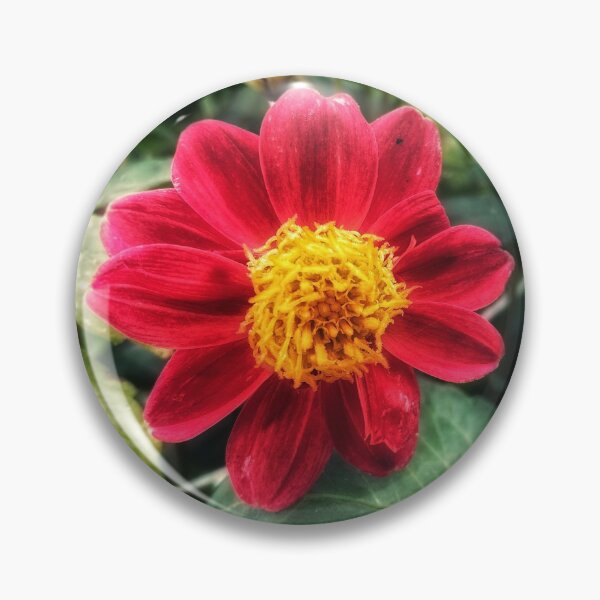 Item preview, Zinnia designed and sold by ALittleDesign.