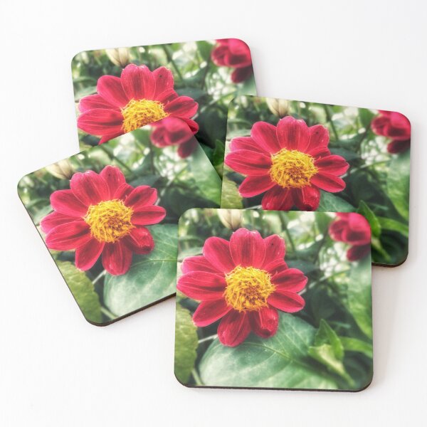 Item preview, Zinnia designed and sold by ALittleDesign.