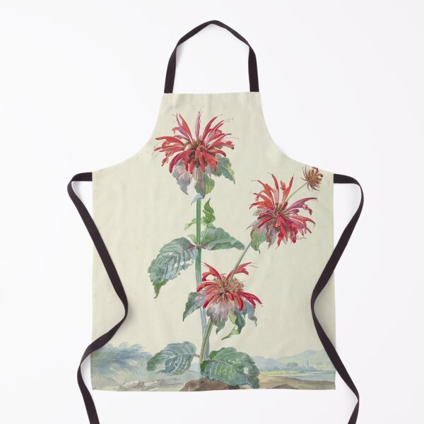 Item preview, Scarlet Beebalm, 1753 designed and sold by Natural History Prints.