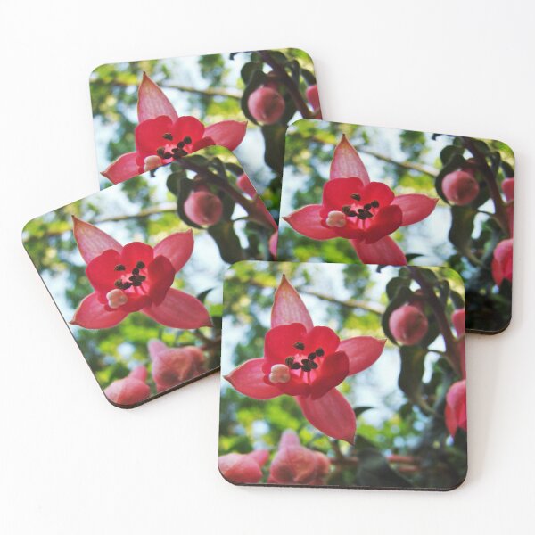 Item preview, A Different Perspective  designed and sold by AGODIPhoto.