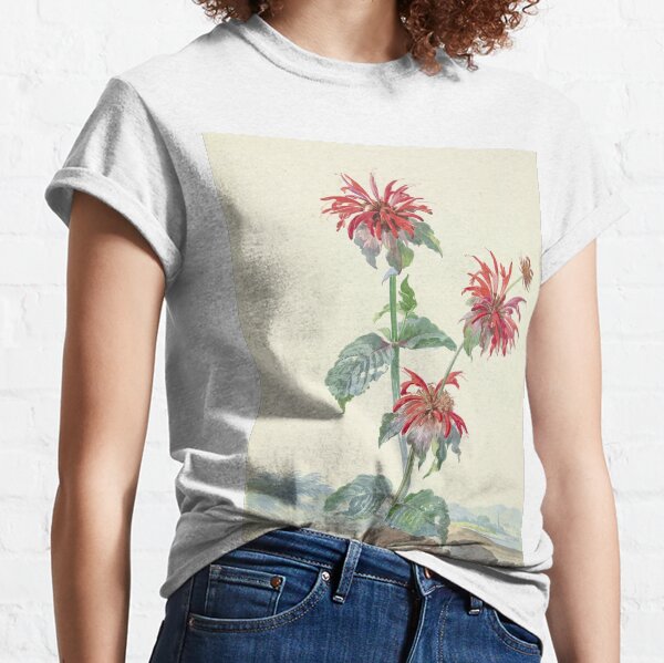 Scarlet Beebalm, 1753 Classic T-Shirt