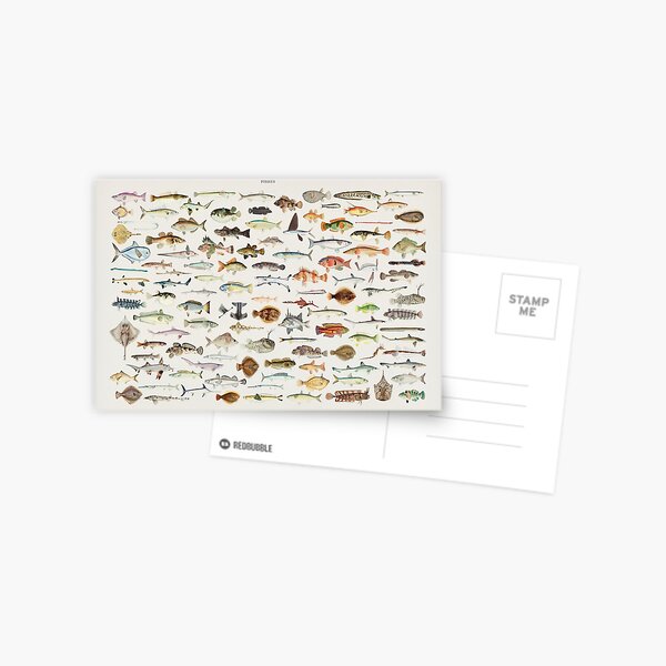 Item preview, Fish Chart designed and sold by BlueSpecsStudio.