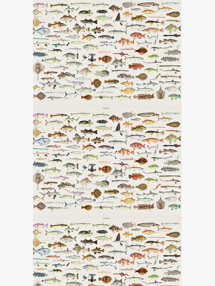 Fish Chart by bluespecsstudio