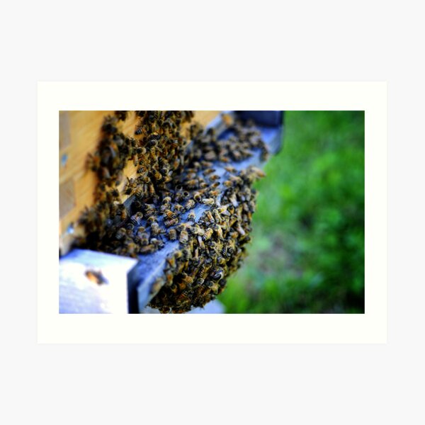 32°C Art Print