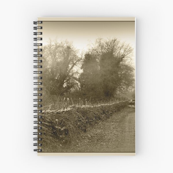 Item preview, A pathway out of time. designed and sold by SuzanAlmond.