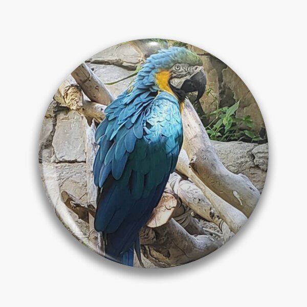 Item preview, Blue parrot on Branch designed and sold by flagboss.